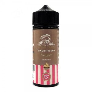 Steam Train - Magnificent 24/120ml