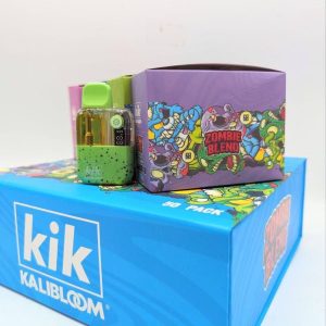 Kik 4G Disposable