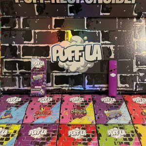 Puffla 2G Disposable