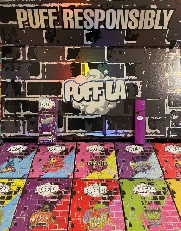 Puffla 2G Disposable